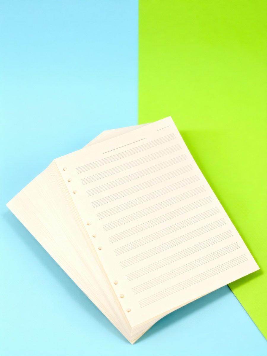 Blank Sheet Music Notebook - 100 vellen muziekpapier, 5-lijns notenblok, 2